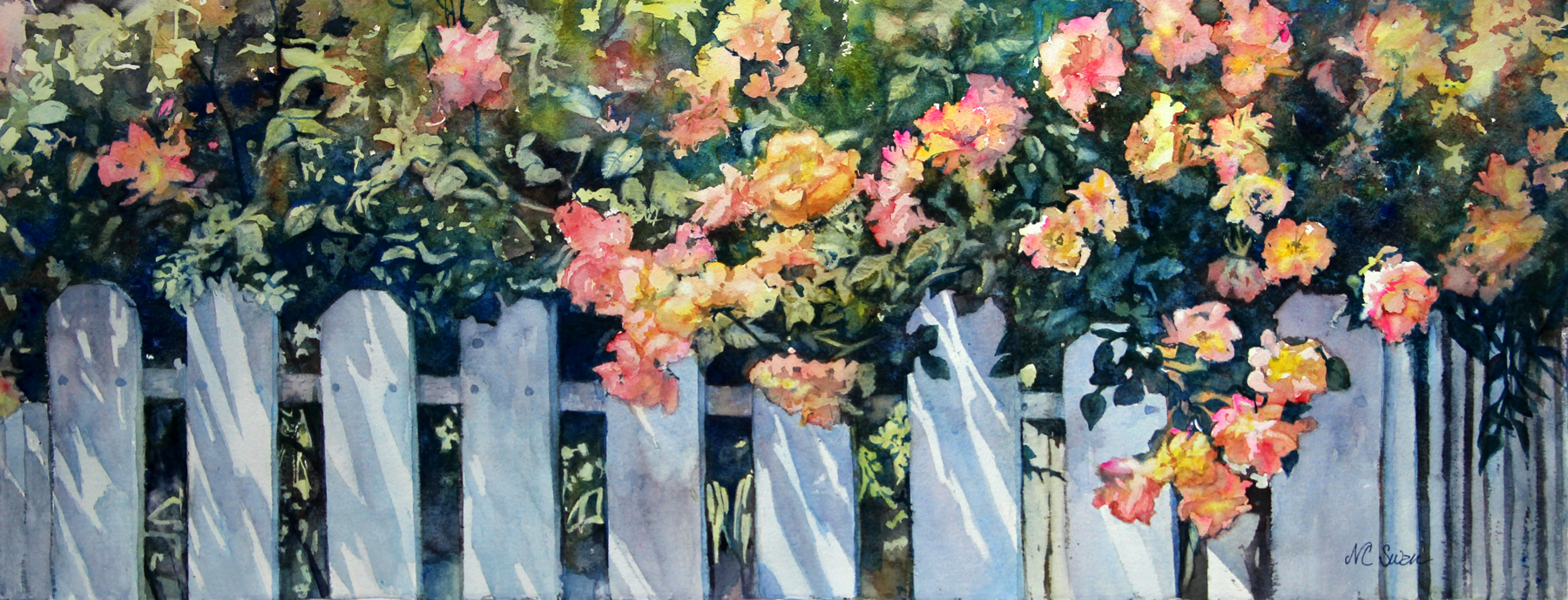 climbing roses cascading over a white picket fence