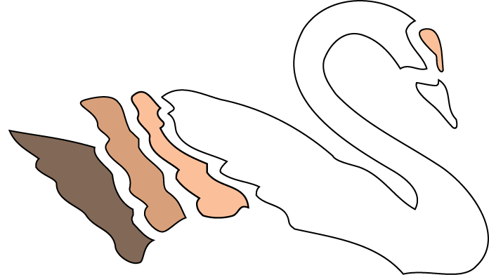 NC SWAN